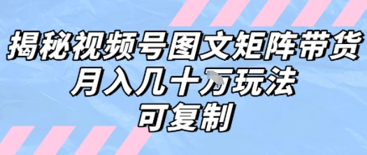 解密视频号图文矩阵带货，月入几个W的打法，可复制_泡桐学堂