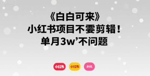 小白可来 小红书项目不需要剪辑 单月3w不是问题_泡桐学堂