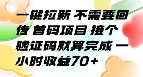 一键拉新 不需要回传 首码项目 接个验证码就算完成 一小时收益70+【揭秘】_泡桐学堂