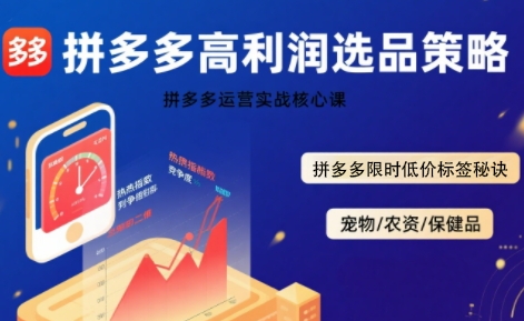 拼多多选品暴利技术实战课，拼多多高利润选品策略，拼多多限时低价标签秘诀_泡桐学堂